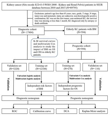 Individualized assessment predictive models for risk and overall survival in elderly patients of primary kidney cancer with bone metastases: A large population-based study